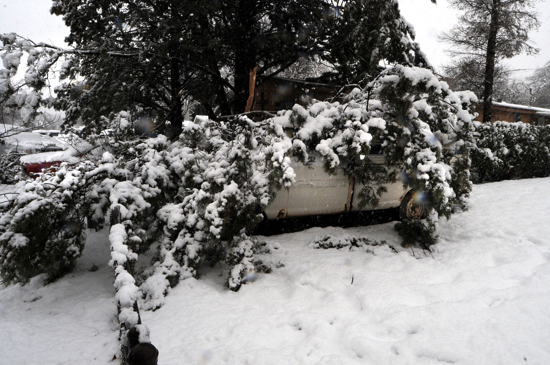 Snow in Santa Cruz County